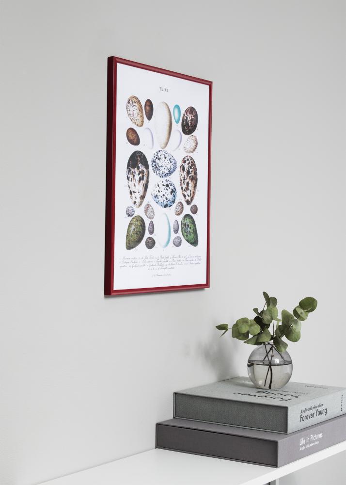 Рамка New Lifestyle Червена 70x100 cm - Паспарту Бяла 50x85 cm