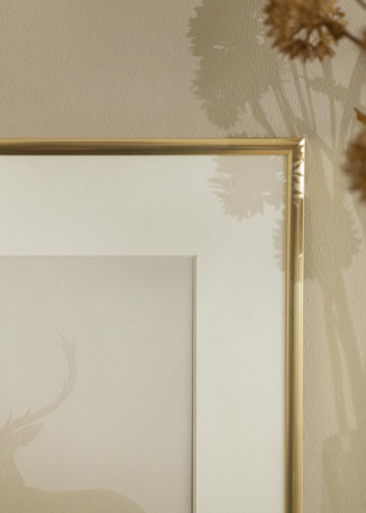 Рамка New Lifestyle злато 60x90 cm - Паспарту Бяло 50x75 cm