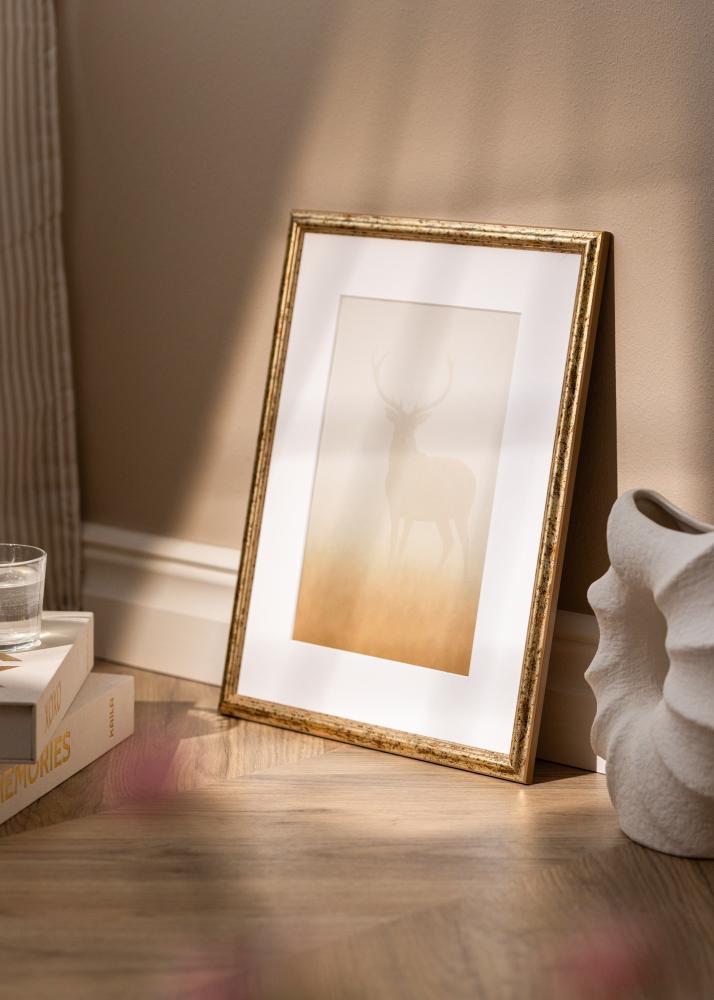 Рамка Claudia Акрилно стъкло Сребро 70x100 cm