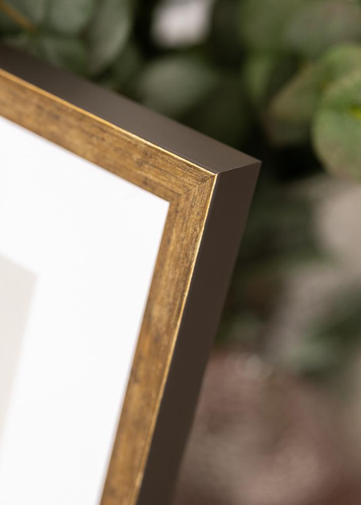 Рамка Dune Акрилно стъкло Злато 40x60 cm