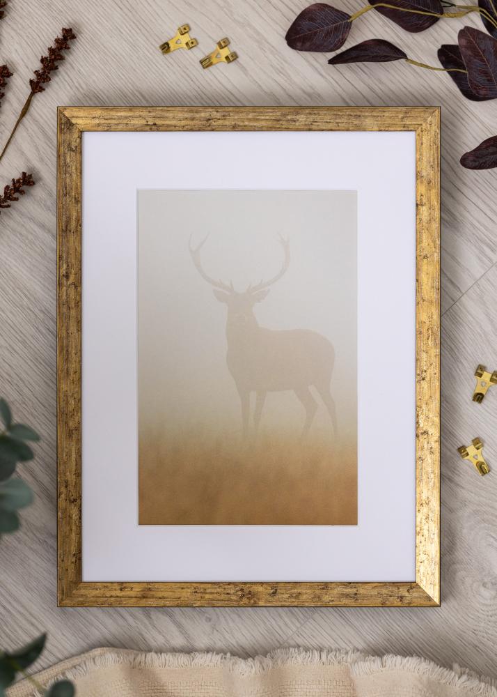 Рамка Dune Акрилно стъкло Злато 40x60 cm