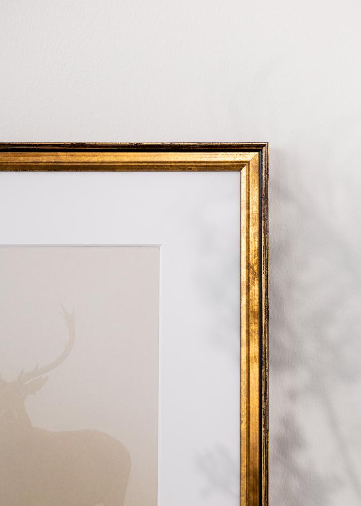 Рамка Ringa Акрилно стъкло Злато 59,4x84,1 cm (A1)