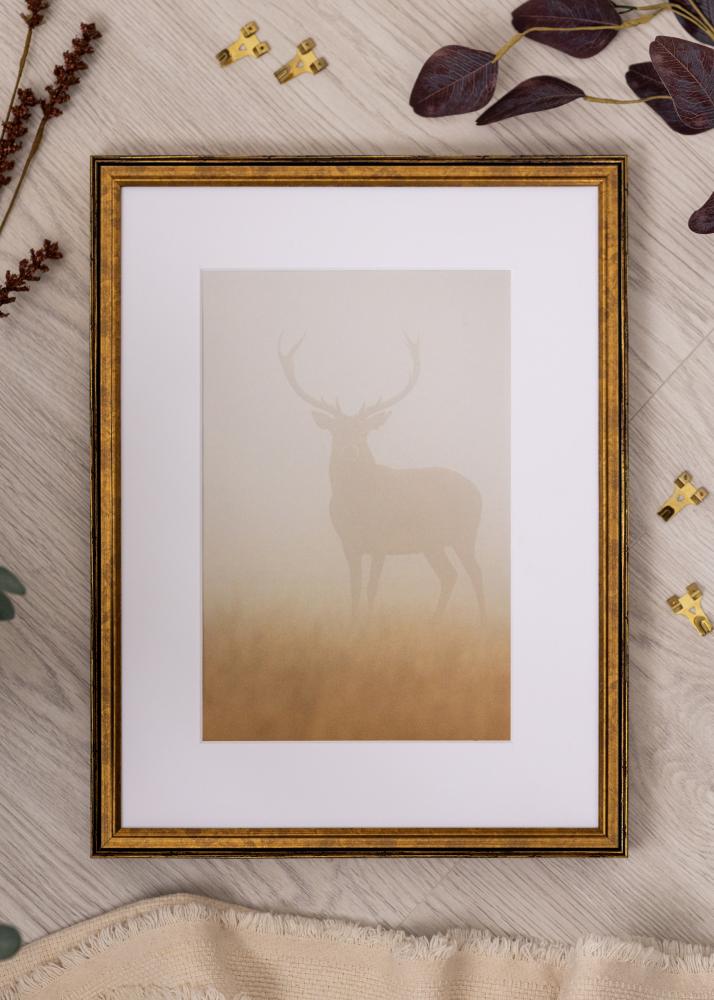 Рамка Ringa Акрилно стъкло Злато 59,4x84,1 cm (A1)