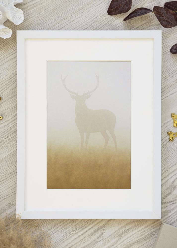 Широка рамка за картина бяла 42 x 59,4 cm (A2)