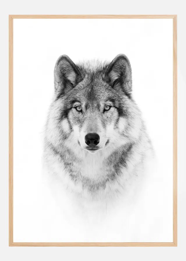 Portrait of a Timber Wolf Постер
