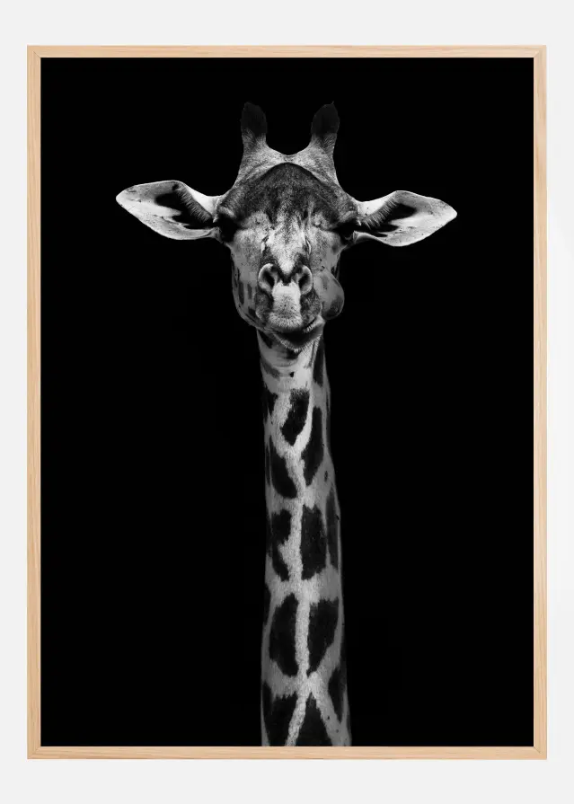 Giraffe Portrait Постер
