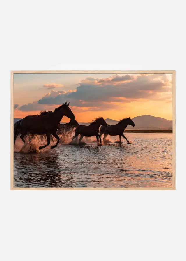 WATER HORSES Постер