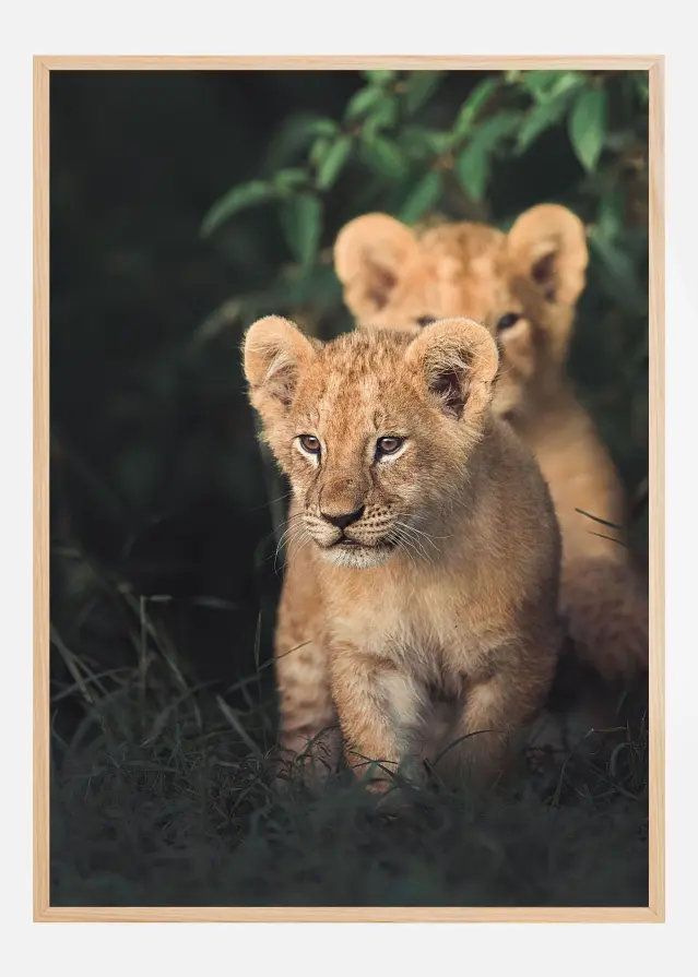 Untitled Постер