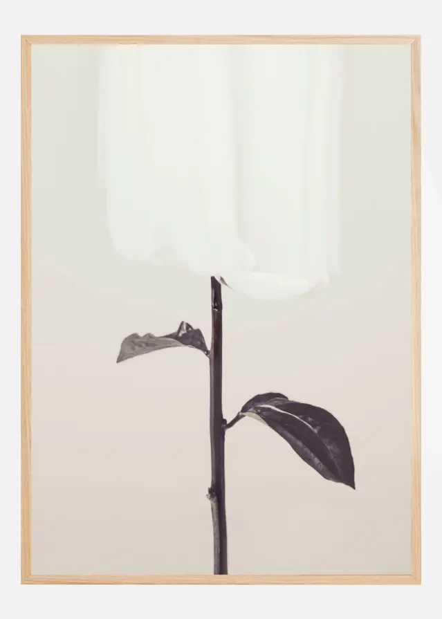 Peony 18 Постер