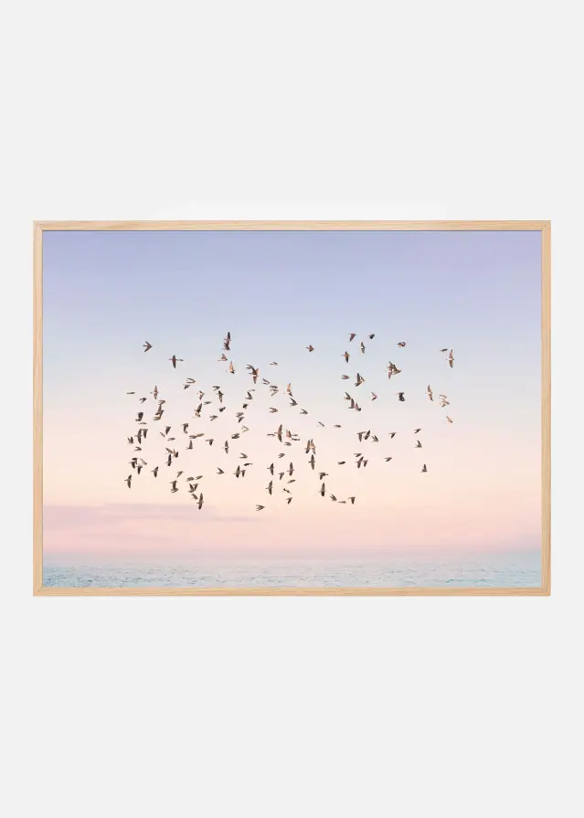 Sunset Flight Постер