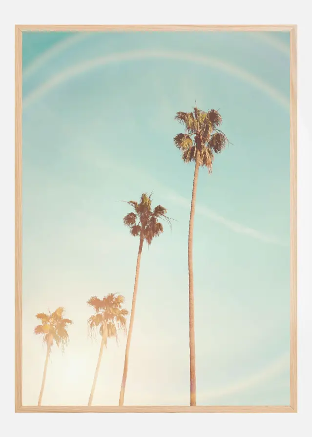 Sunny Cali Palm Tree Постер