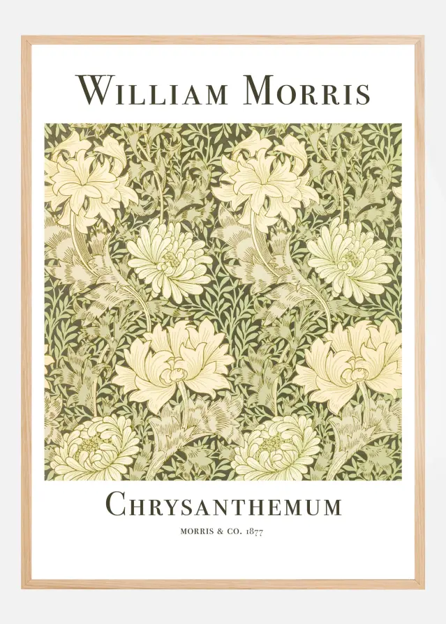 Chrysanthemum Постер