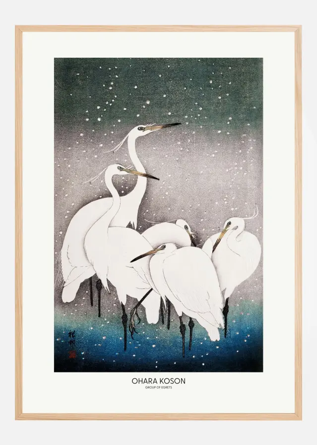 Group Of Egrets Постер