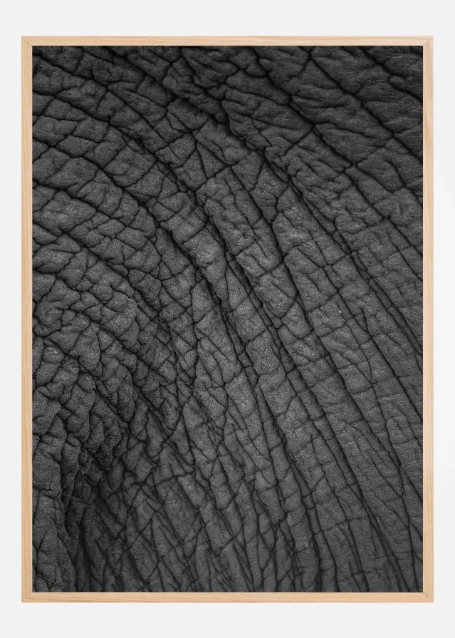 Olifant 03 Постер