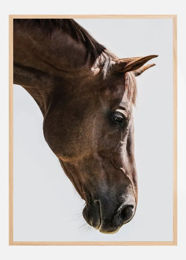 Russian Постер