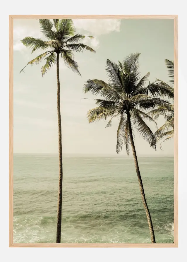 Sea Breeze Постер