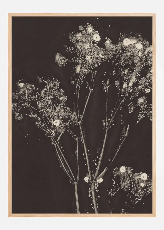 Floral Whispers Постер