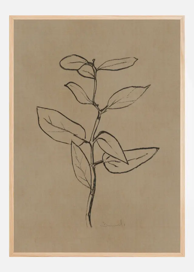 Eucalyptus Sapling Постер