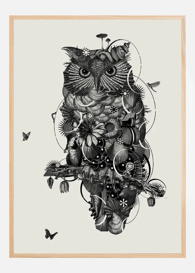 Owl Постер