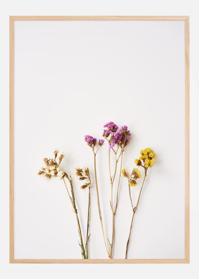 Dried flowers I Постер