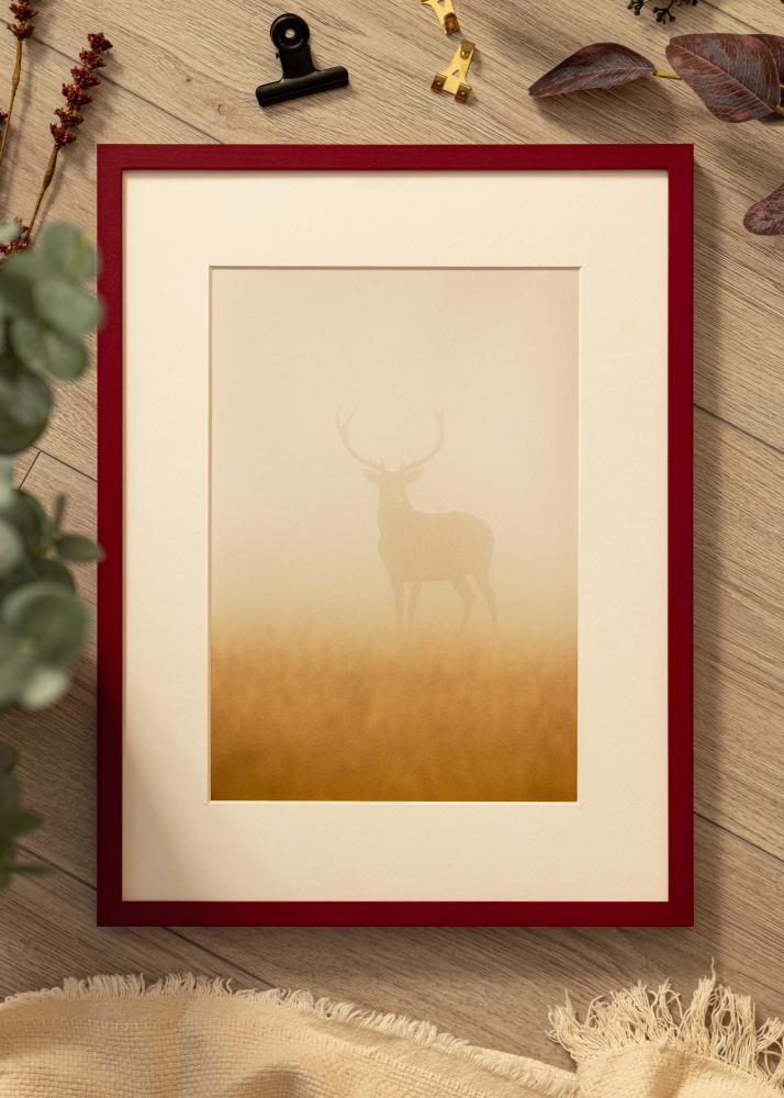 Colorful Акрилно стъкло Червено 15x20 cm