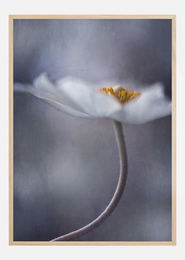 The Beauty Within Постер