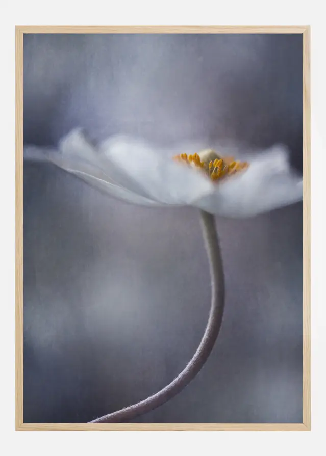 The Beauty Within Постер