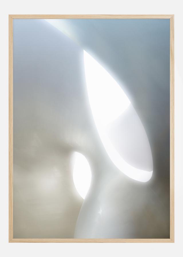 Organic Shapes Постер