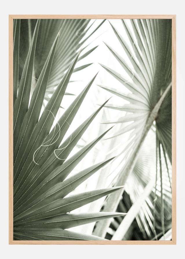 Green Leaves Постер