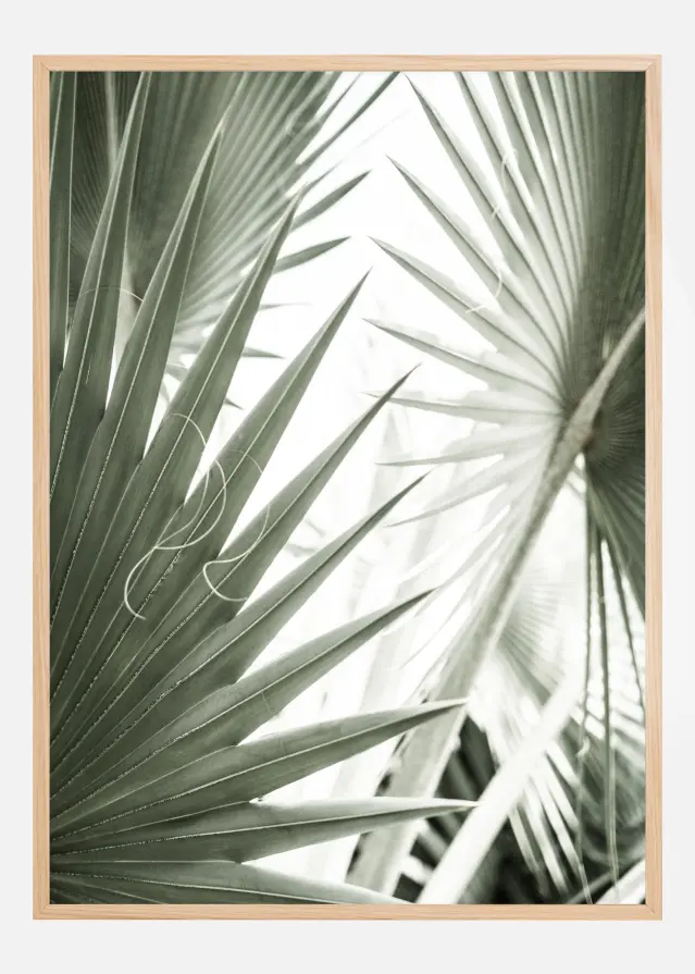 Green Leaves Постер