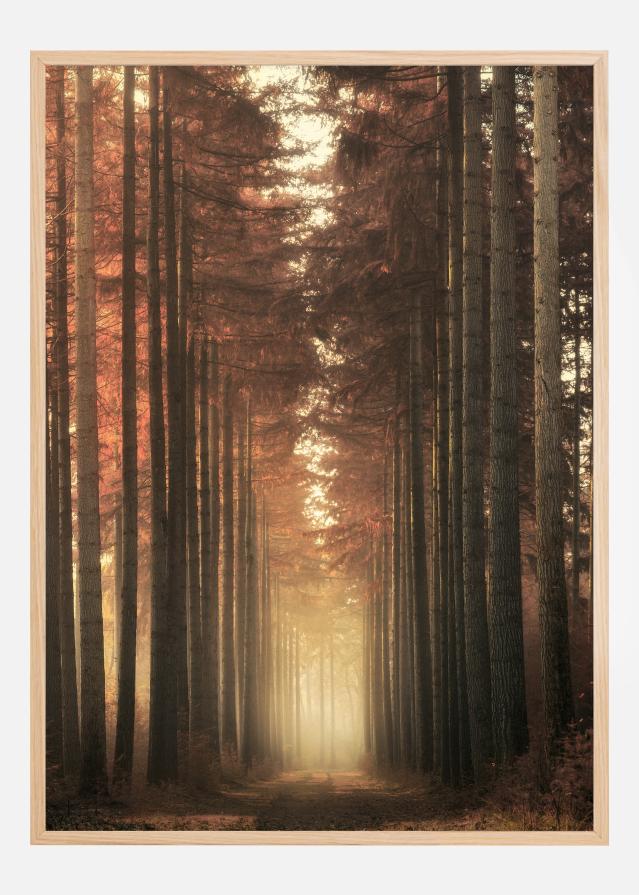 Light Burning Постер