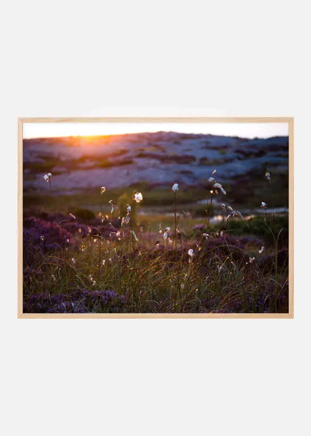 Summer evening on the rocks Постер