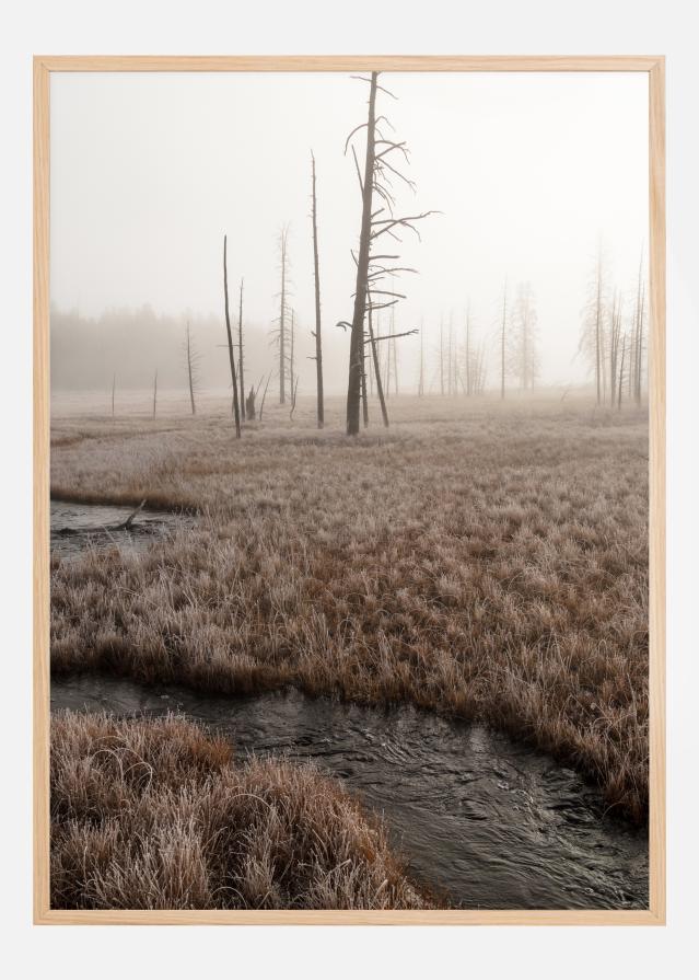 Early Morning Постер