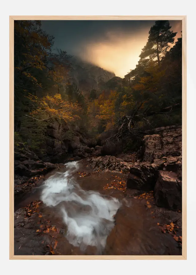 Calm Forest Постер