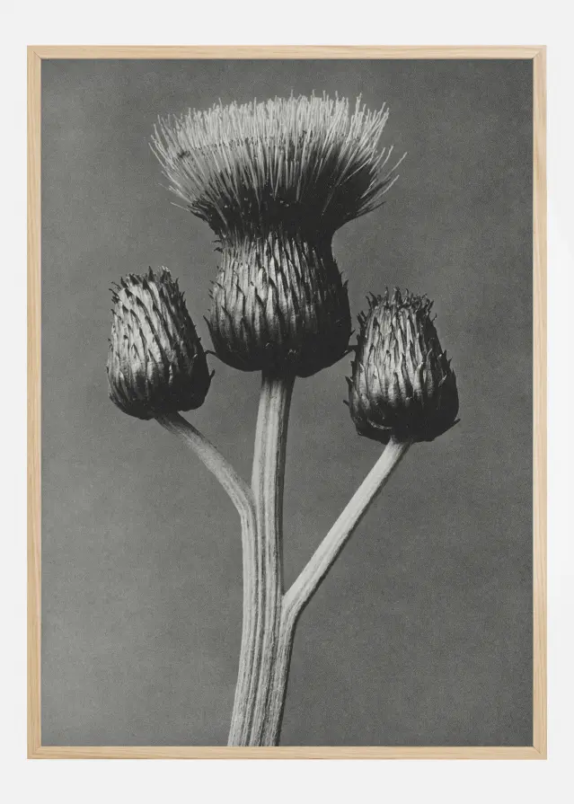 Grey Flower I Постер