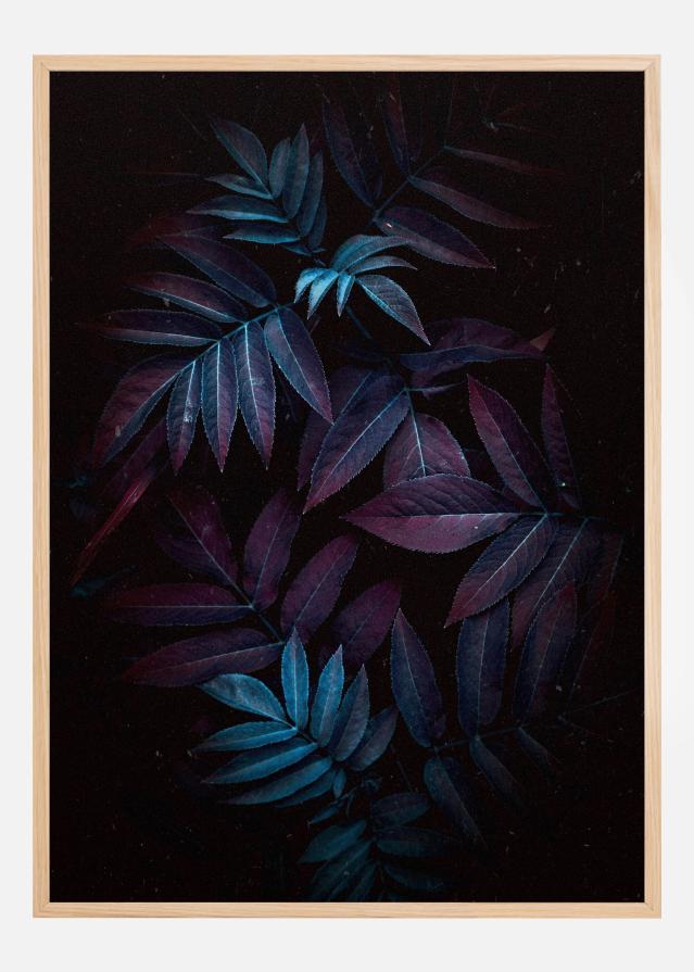 Autum Leaves Постер