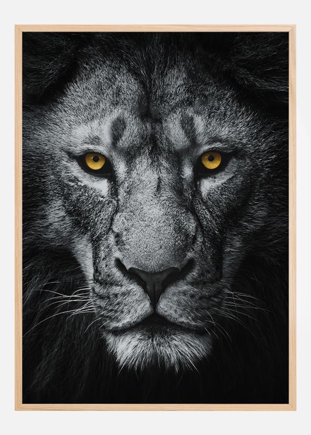 Look At Me Постер