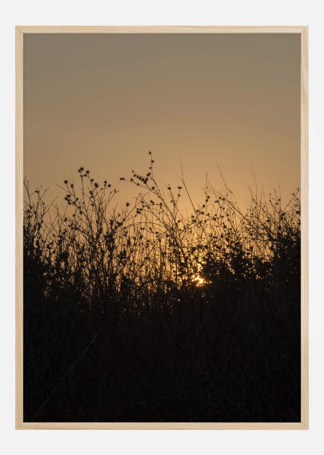 Sneak Peak On Sun Постер