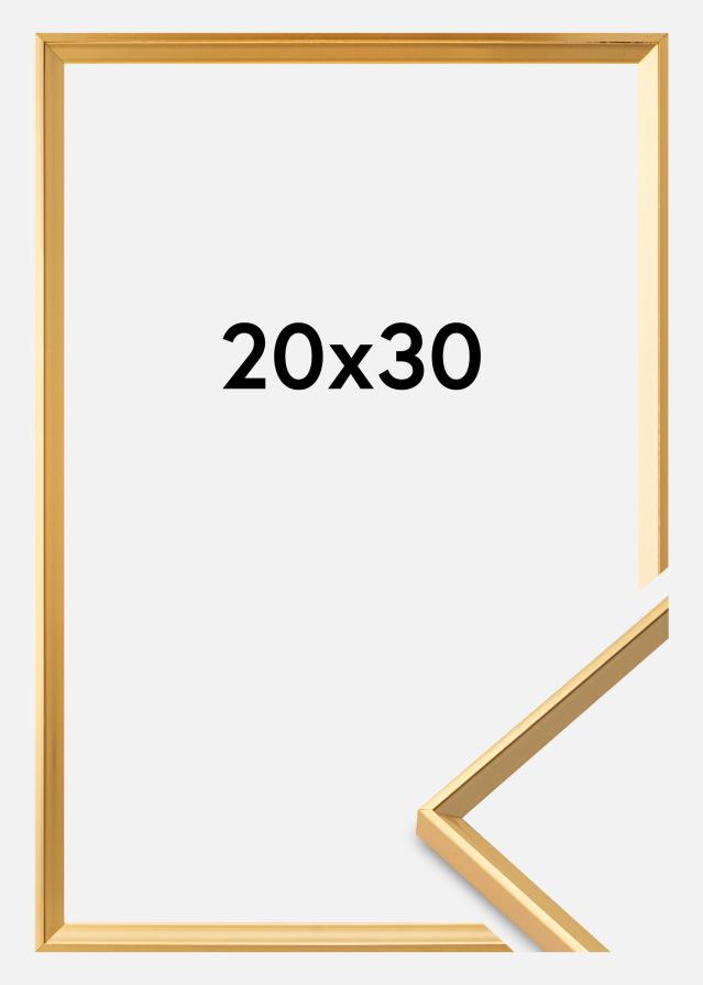 Рамка Desire Акрилно стъкло Златно 20x30 cm