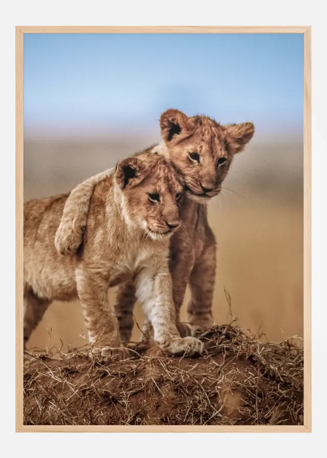 Lion Brothers For Life Постер