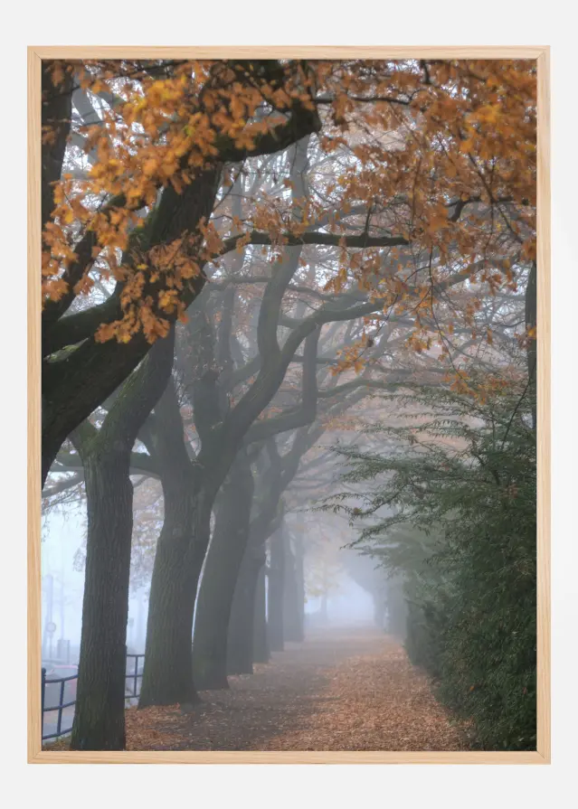 Autum Stroll Постер