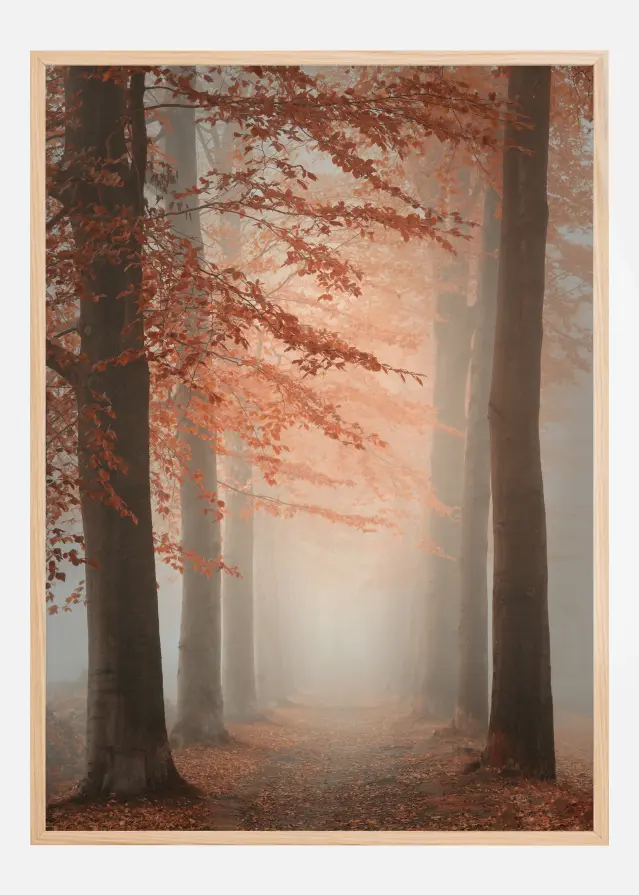 Autumn Dream Постер