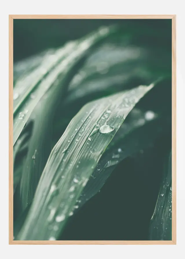 Waterdrop Постер