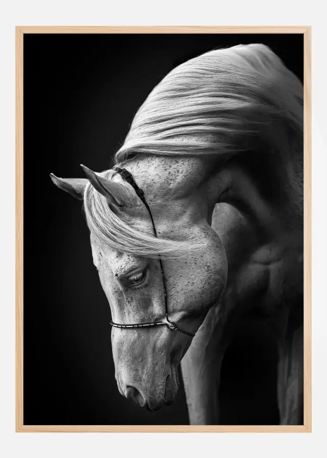 White Stallion Постер