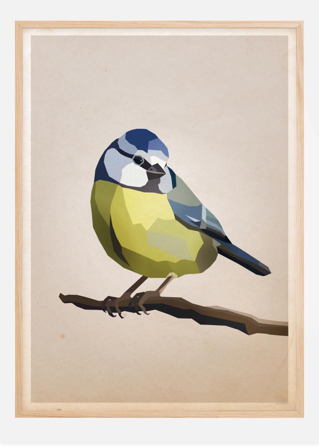 Blue tit Постер