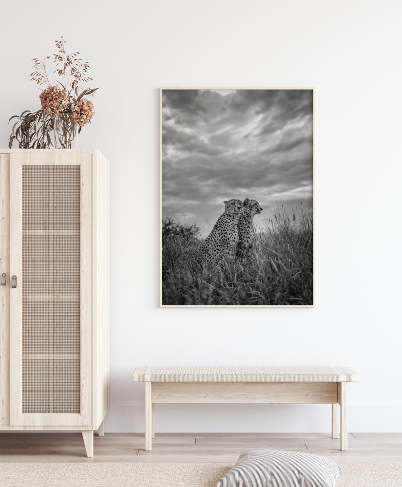 Cheetah Dreams Постер