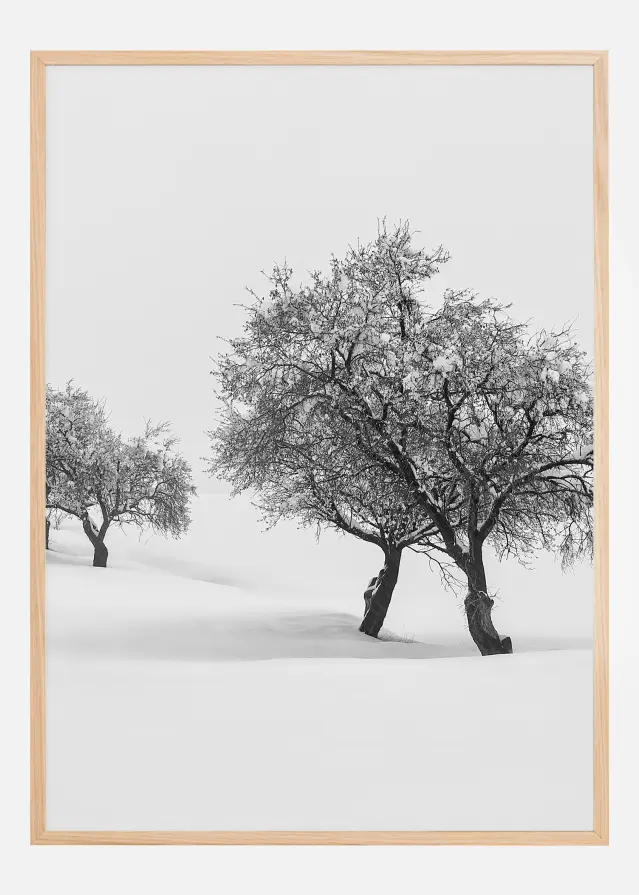 White carpet II Постер