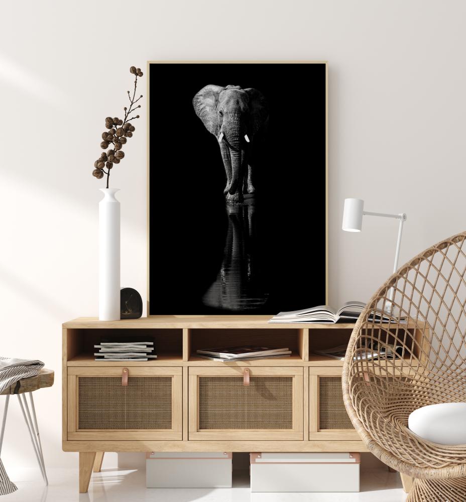 Elephant Постер