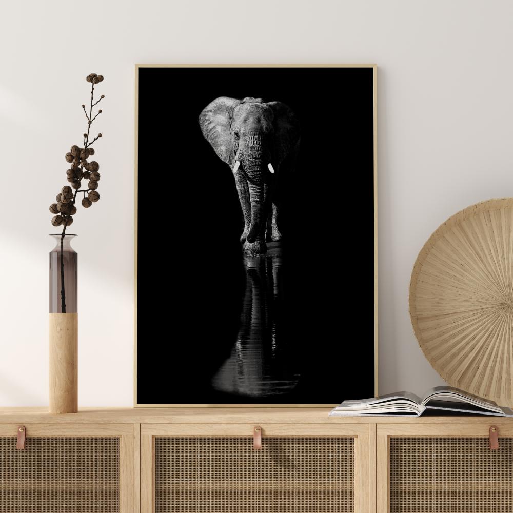 Elephant Постер