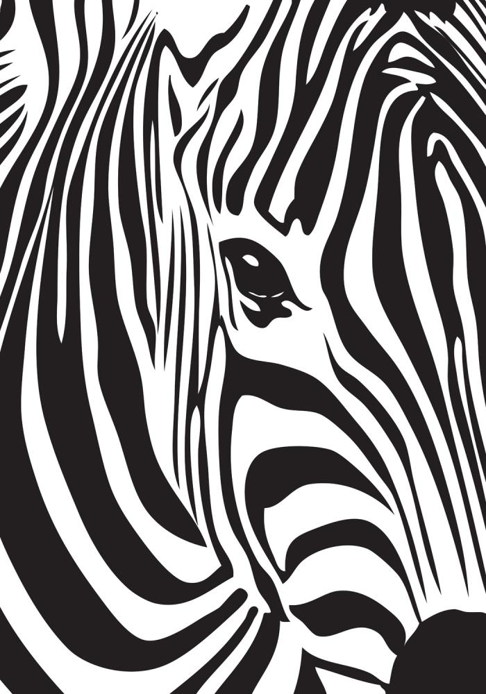Zebra Постер